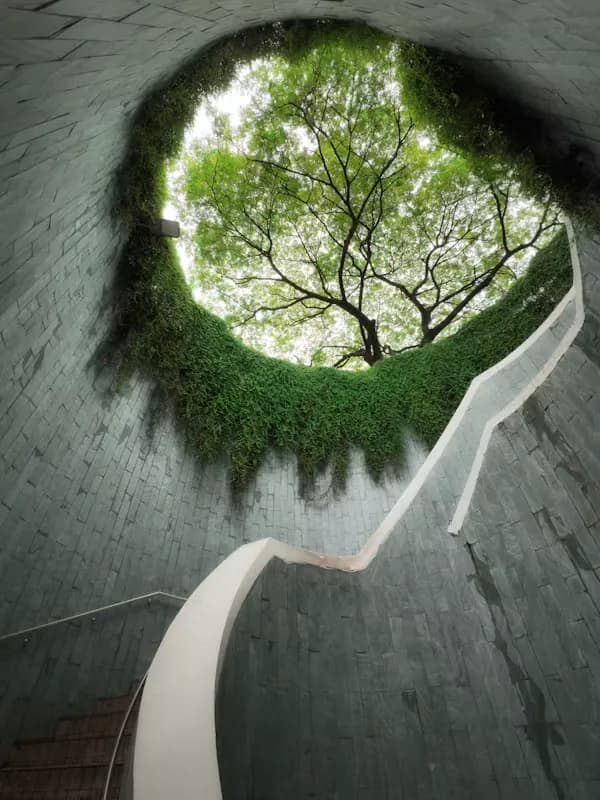 Circular architectural frame revealing nature and tree canopy beyond